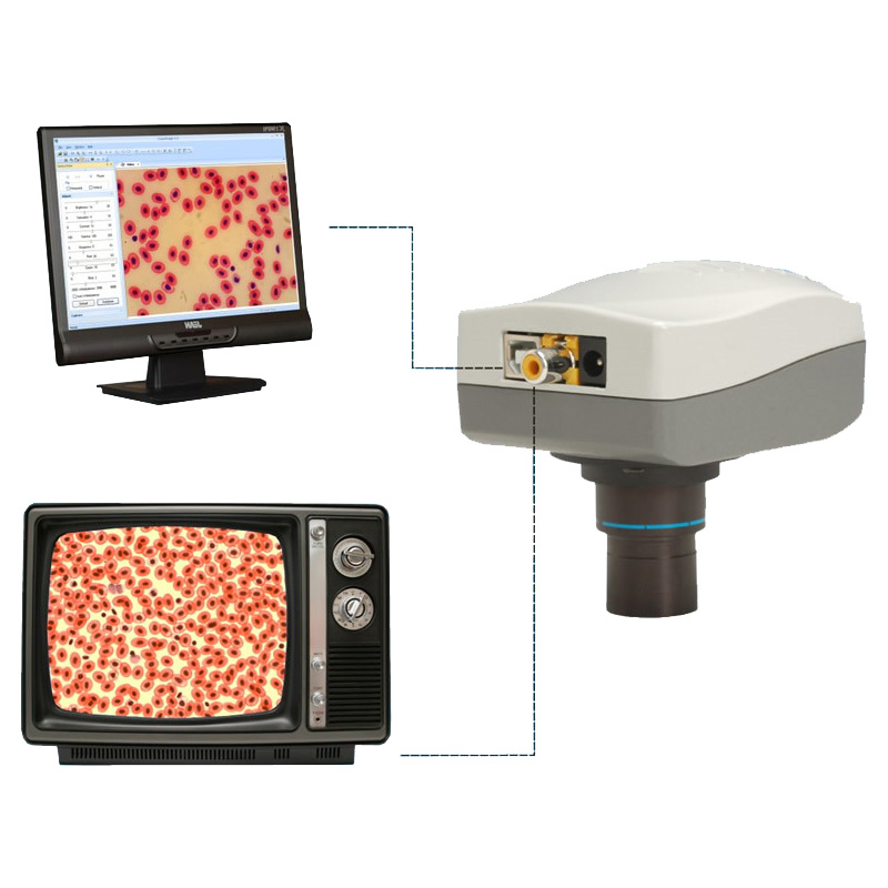 USB and RCA Output Microscope Camera for Clear Imaging